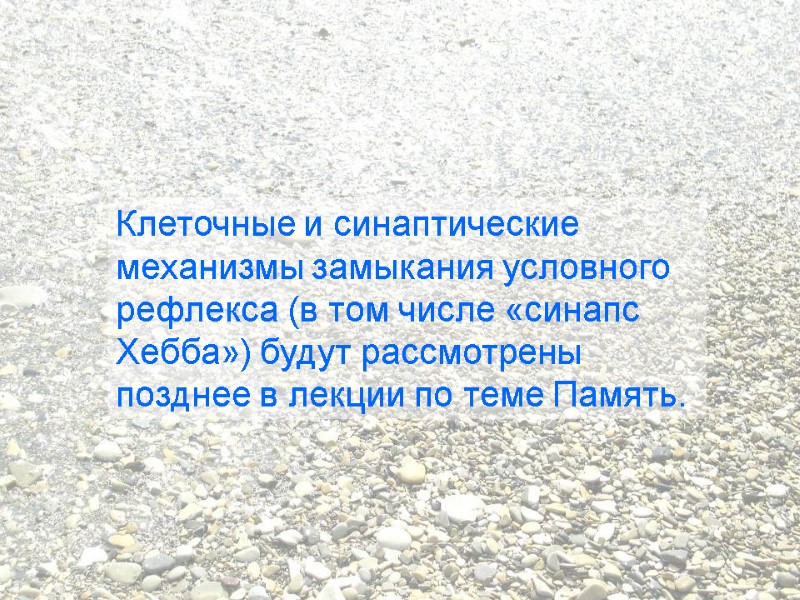 Клеточные и синаптические механизмы замыкания условного рефлекса (в том числе «синапс Хебба») будут рассмотрены